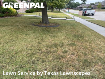Lawn Cutin Wylie,75098,Yard Cutting by Texas Lawnscapes, work completed in Dec , 2025