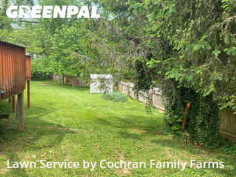 Yard Cutting nearby Oak Ridge, TN, 