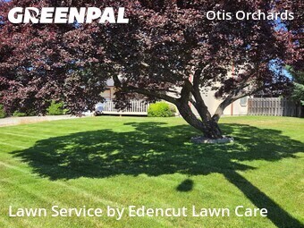 Lawn Cutting nearby Otis Orchards East Farms, WA, 