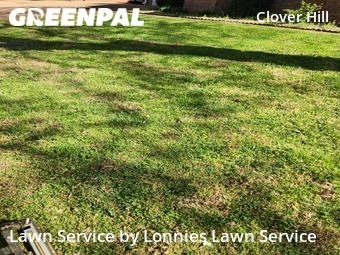 Yard Mowing nearby Nashville Davidson, TN, 