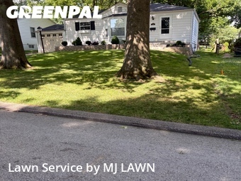 Yard Mowing nearby Webster Groves, MO, 