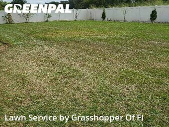 Yard Cutting nearby Valrico, FL, 