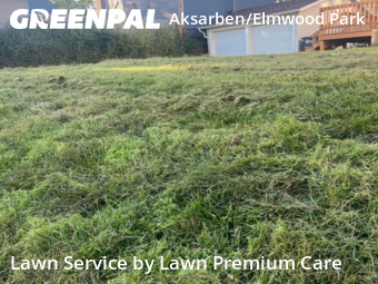 Lawn Mow nearby Omaha, NE, 