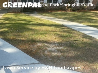 Lawn Maintenance nearby Savannah, GA, 