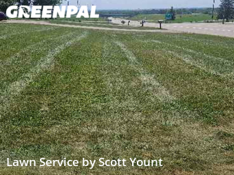 Lawn Mow nearby Freeport, IL, 