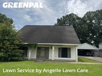 Grass Cut nearby Lafayette, LA, 