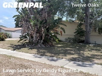 Lawn Service nearby Tampa, FL, 