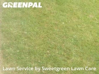 Grass Cut nearby Pittsburgh, PA, 