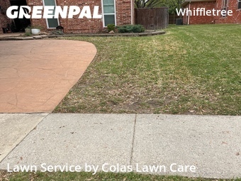 Yard Cutting nearby Plano, TX, 