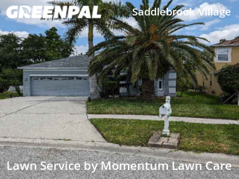 Yard Cutting nearby Wesley Chapel, FL, 