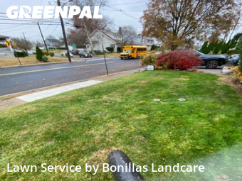 Lawn Mowing Service nearby Roselle Park, NJ, 