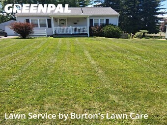 Lawn Cutting nearby North Lima, PA, 