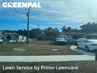 Lawn Upkeep in Sarasota, 34235, Yard Care Services by Primo Lawncare , work completed in Dec , 2025
