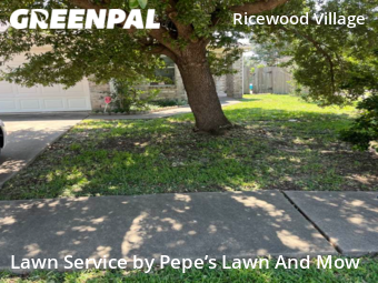 Lawn Care nearby Houston, TX, 
