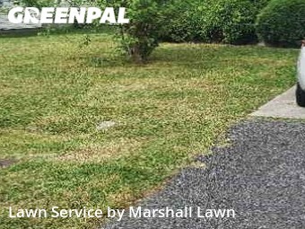 Lawn Mowing nearby Chesapeake, VA, 