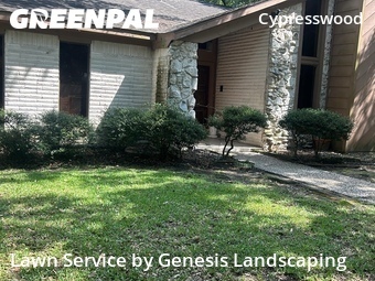 Lawn Mow nearby Spring, TX, 