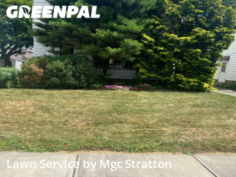 Lawn Mowing Service nearby South Euclid, OH, 