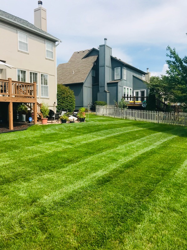 Yard mowing company in Olathe, KS, 66061