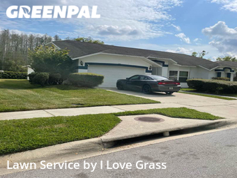 Grass Cut nearby Land O' Lakes, FL, 