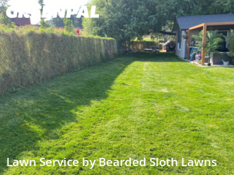 Yard Cutting nearby Nampa, ID, 