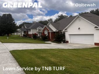 Lawn Mow nearby Ooltewah, TN, 