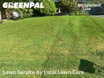 Lawn Mow nearby Nashville, TN, 