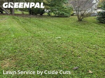 Grass Cut nearby Irwin, PA, 