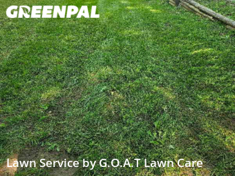 Yard Cutting nearby Independence, MO, 