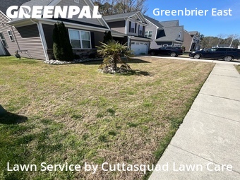 Yard Cutting nearby Chesapeake, VA, 