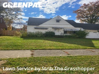 Yard Cutting nearby Euclid, OH, 