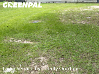 Grass Cut nearby Valdosta, FL, 