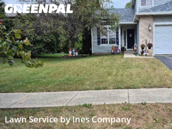 Yard Cutting nearby Bolingbrook, IL, 