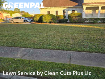 Grass Cut nearby Buford, GA, 