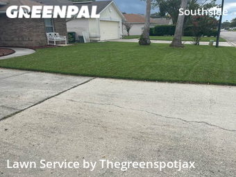 Grass Cut nearby Jacksonville, FL, 