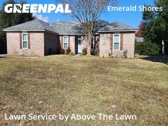 Lawn Maintenance in Pensacola, 32507, Turf Services by Above The Lawn, work completed in Dec , 2025