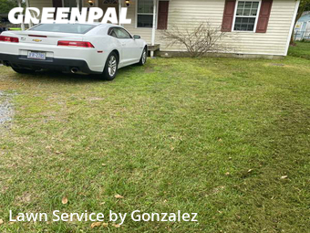 Lawn Care Service nearby Selma, NC, 