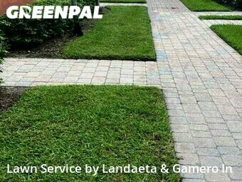 Grass Cut nearby Fort Lauderdale, FL, 