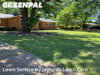 Lawn Maintenance nearby Decatur, AL, 