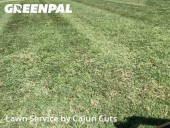 Lawn Mow nearby Murfreesboro, TN, 