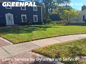 Lawn Mowing Servicein Naperville,60565,Lawn Cut by Dylan's Yard Service , work completed in Nov , 2025