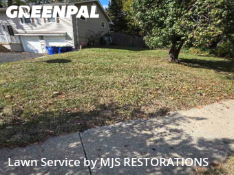 Yard Cutting nearby Overland Park, MO, 