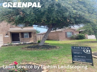 Lawn Mowing nearby Spring, TX, 