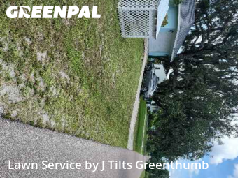 Grass Cut nearby Punta Gorda, FL, 