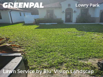 Yard Cutting nearby Tampa, FL, 