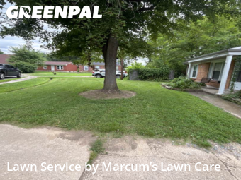 Grass Cut nearby Louisville, KY, 