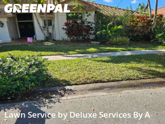 Lawn Care Servicein Plantation,33322,Lawn Mow by Deluxe Services By A, work completed in Jun , 2026