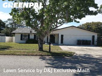 Grass Cut nearby Orlando, FL, 