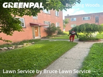 Lawn Mow nearby Chicago, IL, 