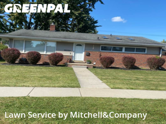 Turf Services in Clinton Township, 48035, Backyard Mowing by Mitchell&Company, work completed in Nov , 2025