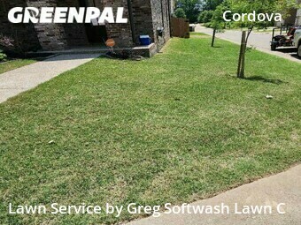Yard Mowing nearby Cordova, MS, 